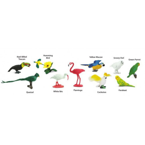 Ptaków egzotycznych - tuba Safari Ltd nowe opakowanie