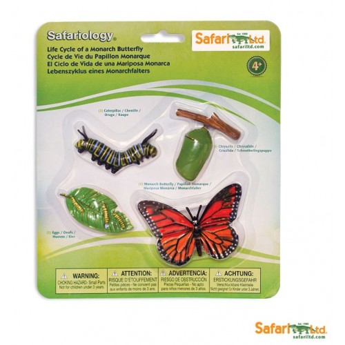 Vývoj motýľa - Safari Ltd Safariology