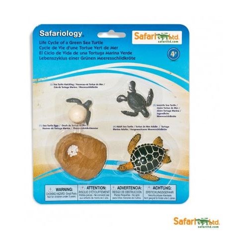 SAFARI Ltd figurka životní cyklus Mořská želva