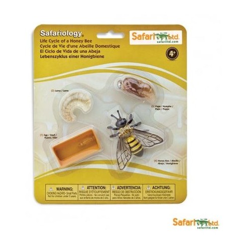 SAFARI Ltd figurka životní cyklus Včela