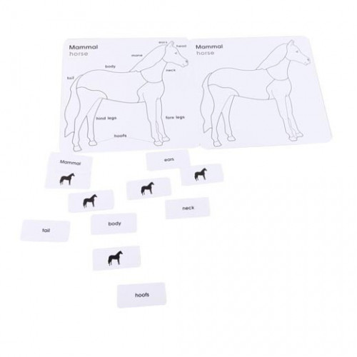 Anglické karty pro puzzle - kůň