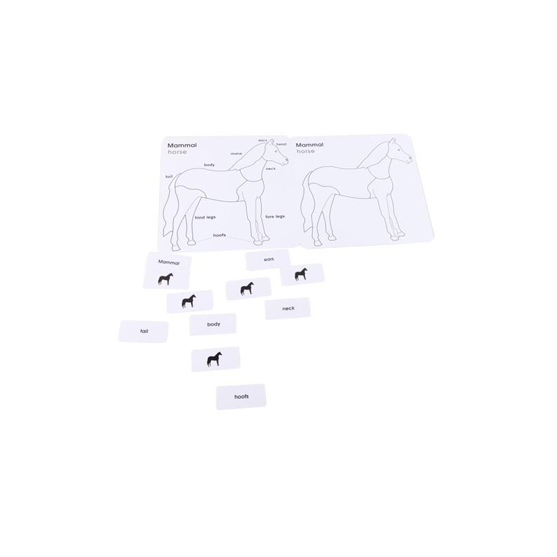 English Puzzle Cards - Horse