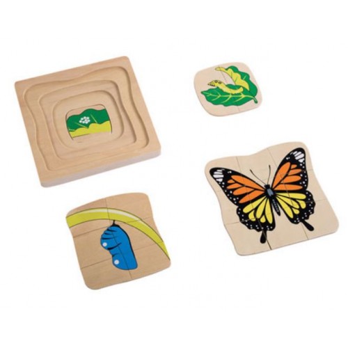 3D Puzzle Stadium rozwojowe - Butterfly