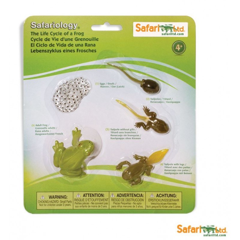 Safariology Safari LIFE CYCLE OF A MONARCH BUTTERFLY Educational Toy Model 