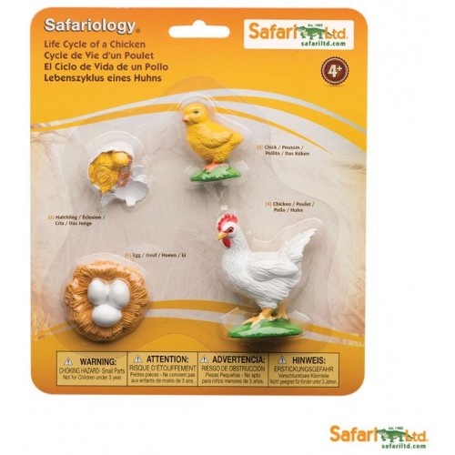 Entwicklung von Hühnern - Safari Ltd Safariology