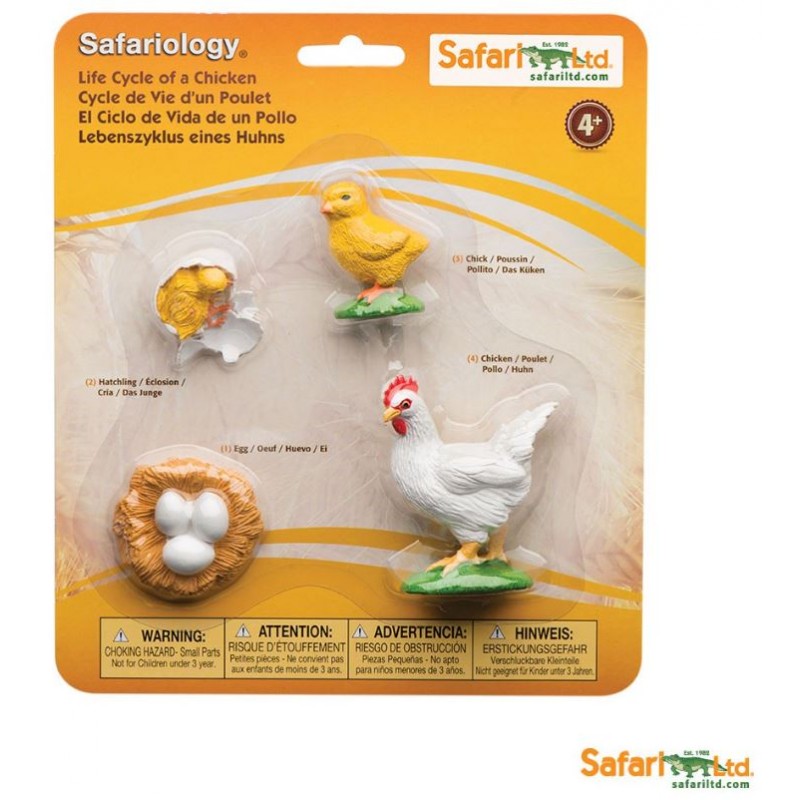 Rozwój kurczaka - Safari Ltd Safariology