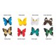 Schmetterlinge - Tube Safari Ltd