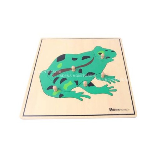 Puzzle - Frog