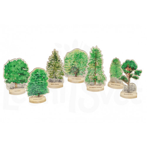 Poznaj drzewa - modele drzew