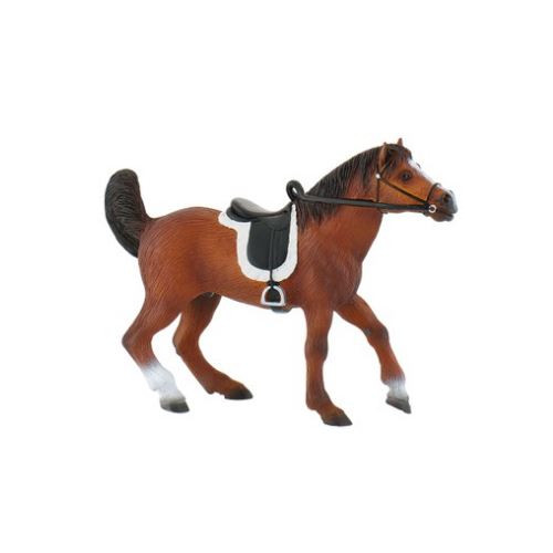 Arabian stallion with saddle