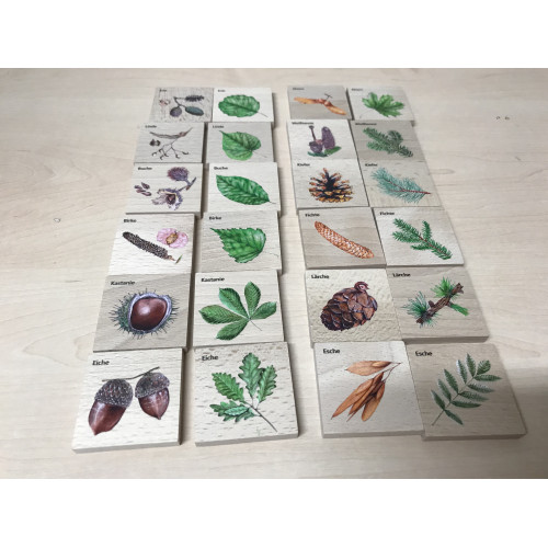 Educational memory game - leaves and fruits - DE