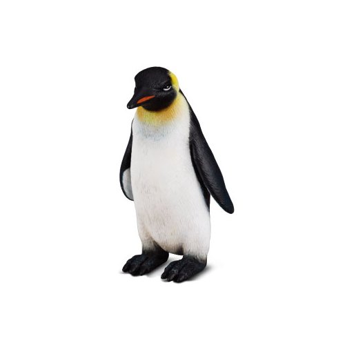 tučniak kráľovský