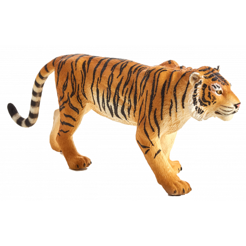 MOJO - Bengálský Tygr