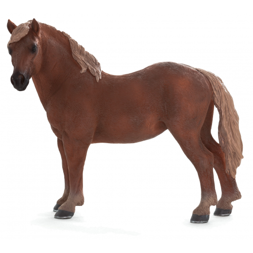 MOJO - Kôň Suffolk punch - kobyla