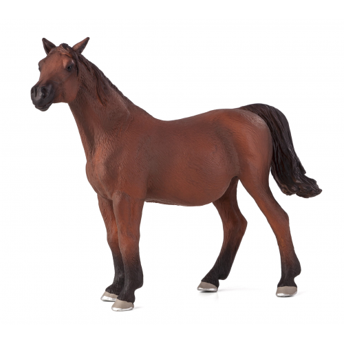 MOJO -  Arabský kôň - gravidná kobyla