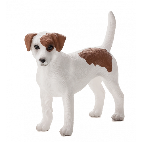 MOJO - Jack Russell Terrier 