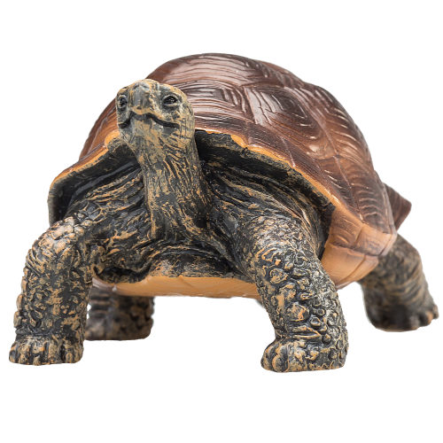 MOJO - Giant Tortoise