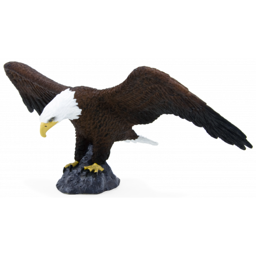 MOJO - American Bald Eagle
