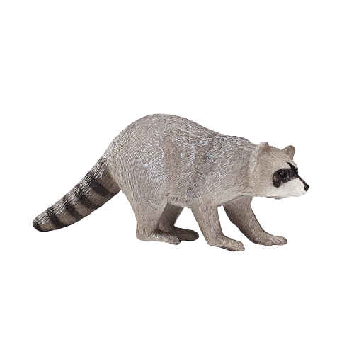 MOJO - Raccoon