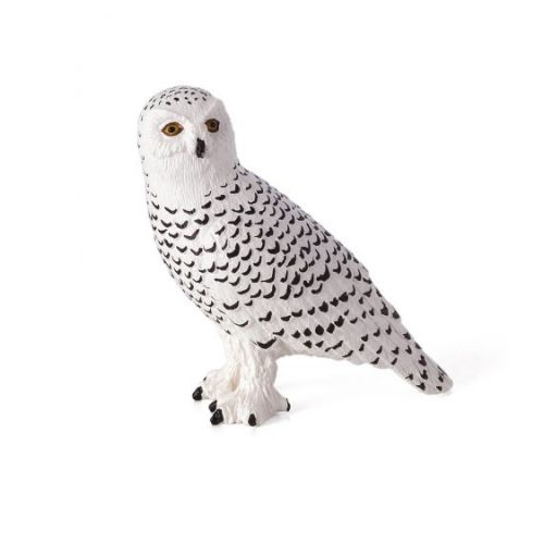 MOJO - Snowy Owl