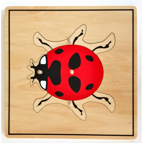 Animal Puzzle: Ladybird