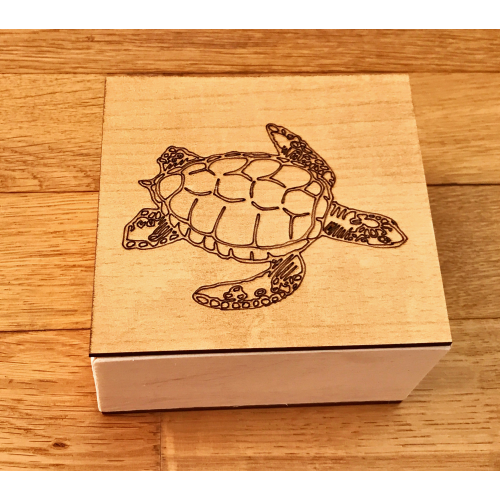 Box für den Entwicklungszyklus - Schildkröte