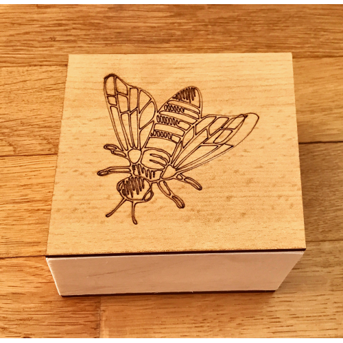 Box für den Entwicklungszyklus - Biene