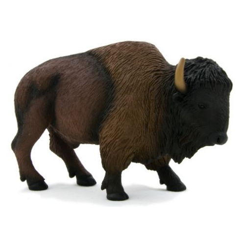 MOJO - American Bison / Buffalo
