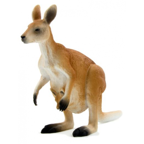 MOJO - Kangaroo