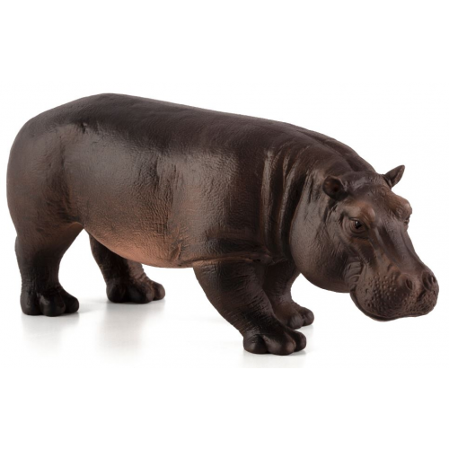 MOJO - Hippopotamus (Female)
