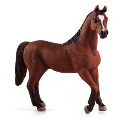MOJO - Arabský kôň - gaštanový žrebec