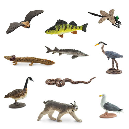 SAFARI Ltd figurky Zvířata Velká jezera USA v tubě