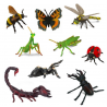 Hmyz a Pavouci - Mojo Fun