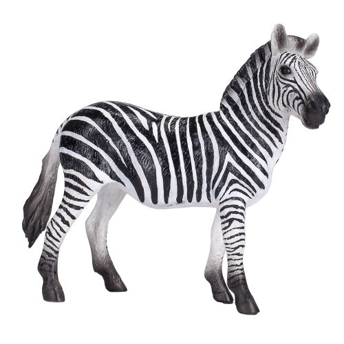 Mojo - Zebra
