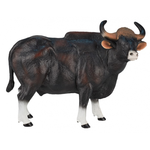 MOJO - Gaur býk