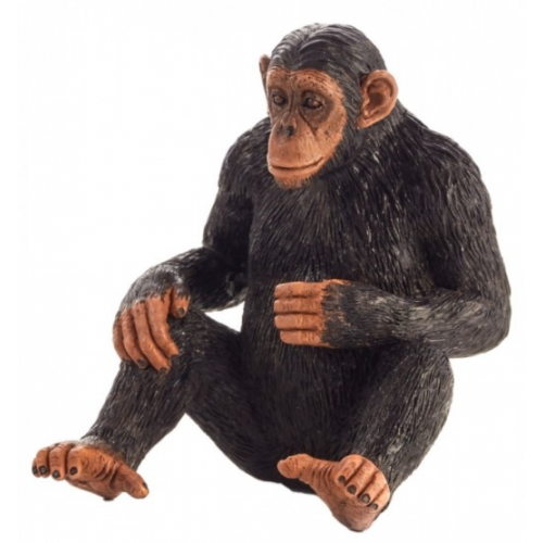 MOJO - Šimpanz