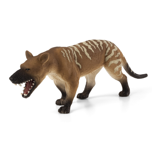 MOJO - Prehistorická hyena - Hyaenodon Gigas