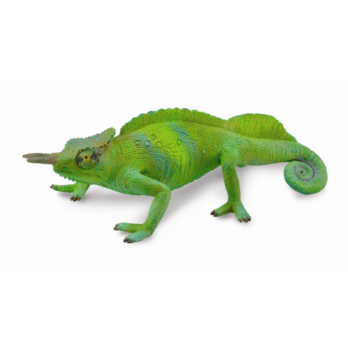 Kamerunský hřebenatý chameleon