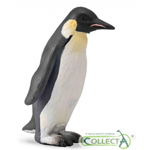tučniak kráľovský