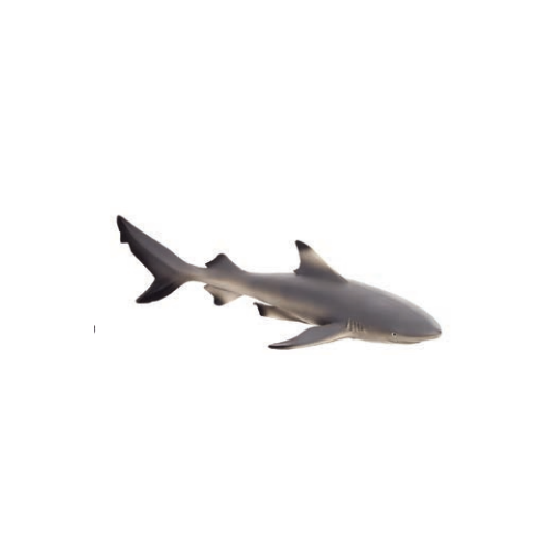 MOJO - Žralok černoploutvý