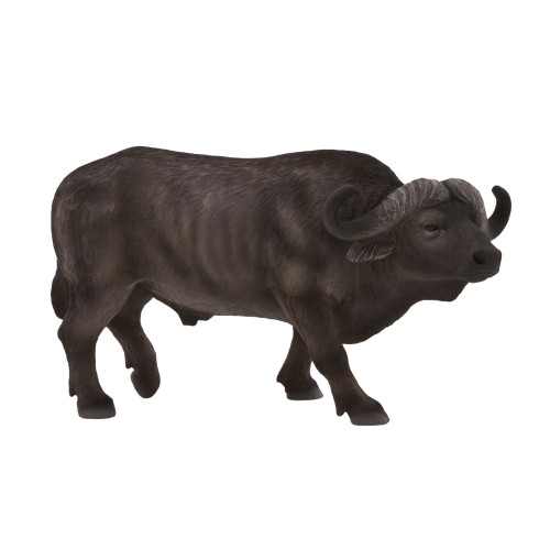 MOJO - Cape Buffalo
